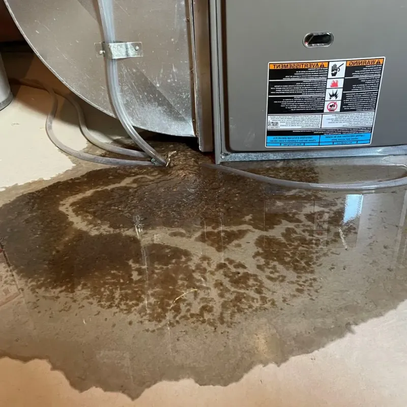 Pipe Burst and Leak Restoration in Cranston, RI